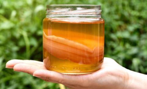 Kombucha Tea Health Benefits Side Effects And How To Make It Fakaza News