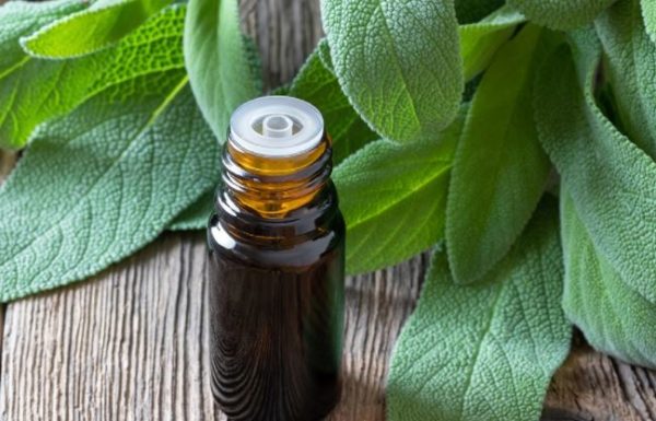 5 incredible benefits of sage for hair & ways to use it | Fakaza News