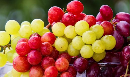 6 amazing benefits of grapes for skin & hair | Fakaza News