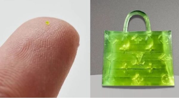The world's smallest bag, tiny as a grain of salt, was sold for $63,000 ...