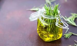 How to use rosemary oil to grow hair in bald patches | Fakaza News